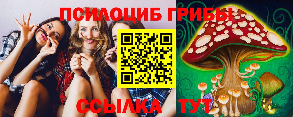 Улан-Удэ  Галлюциногенные грибы мицелий  Вход с VPN  Галлюциногенные грибы Psilocybe 