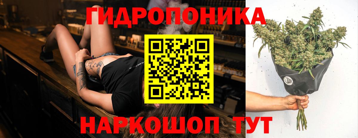 Конопля гибрид Улан-Удэ